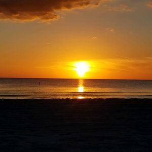 Meet your Posher, Nadine